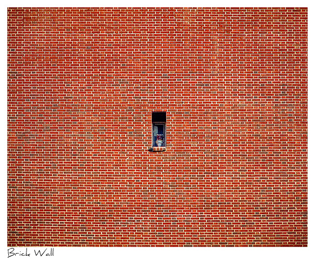 Click to purchase: Brick Wall