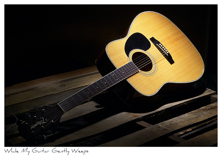 Click to purchase: While My Guitar Gently Weeps