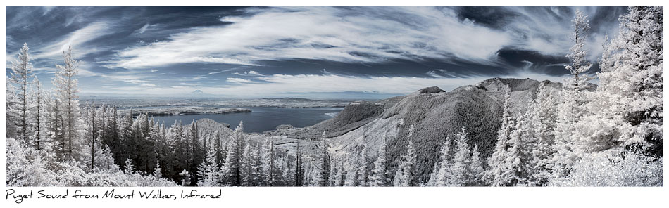 Click to purchase: Puget Sound from Mount Walker, Infrared